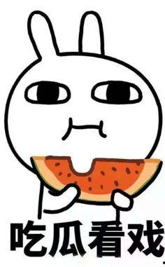 娱乐吃瓜丸子君